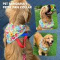 PET BANDANA / PETER PAN COLLAR