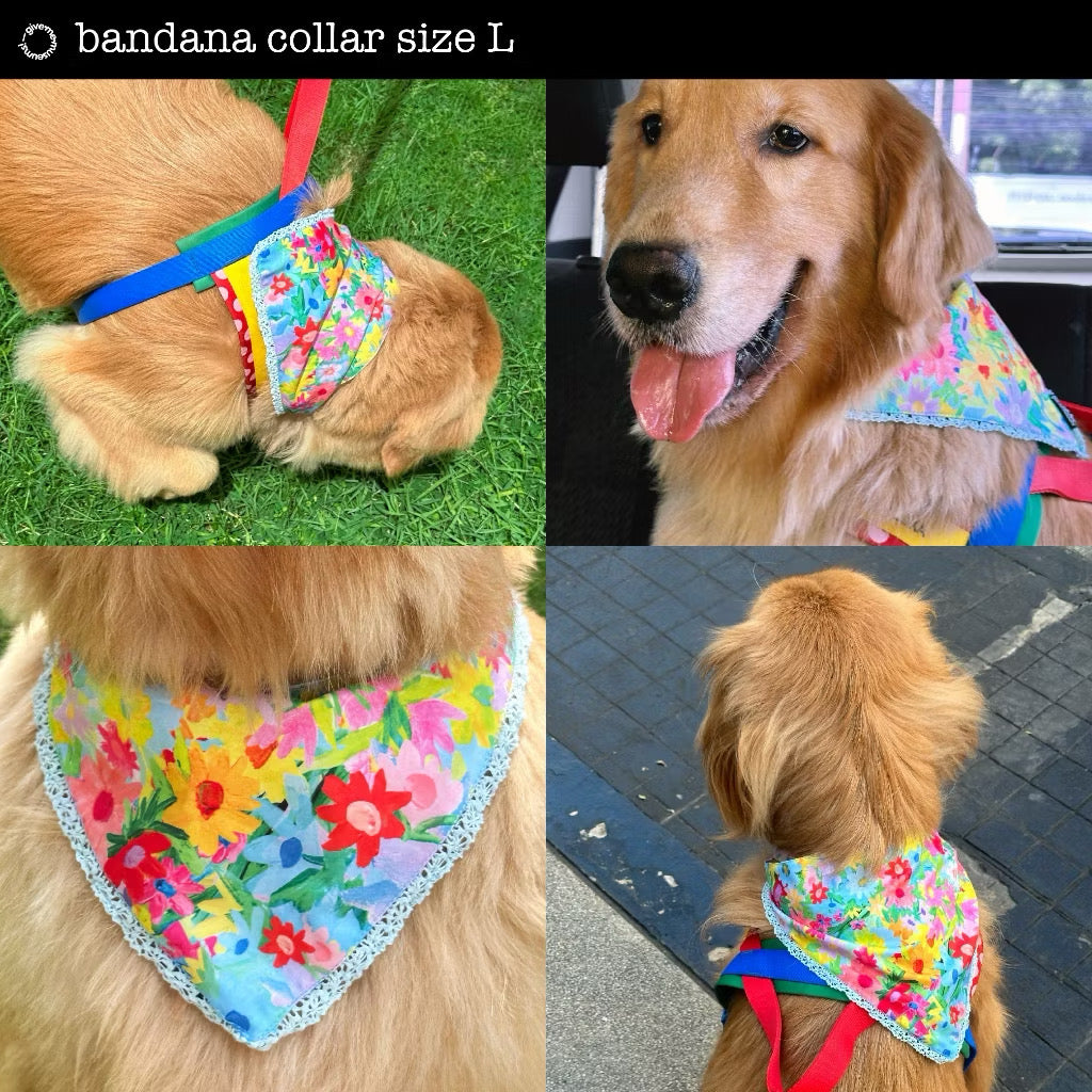 PET BANDANA / PETER PAN COLLAR